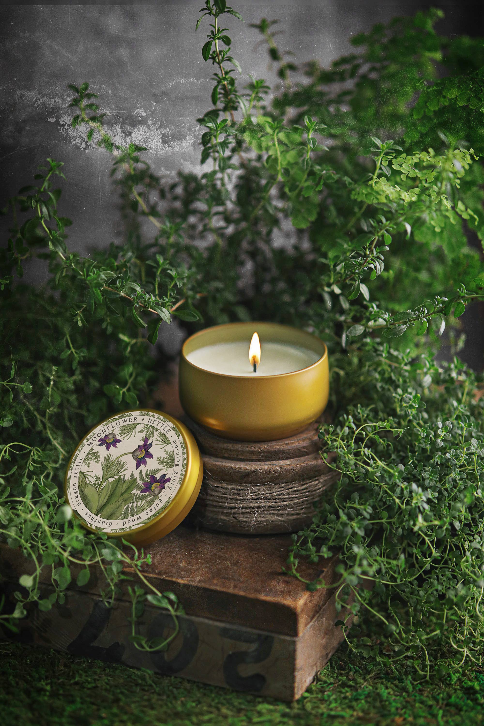 Moonflower + Nettle Candle