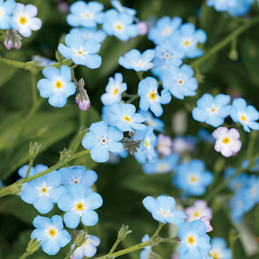 Seasonal Allergies and Your Skin!