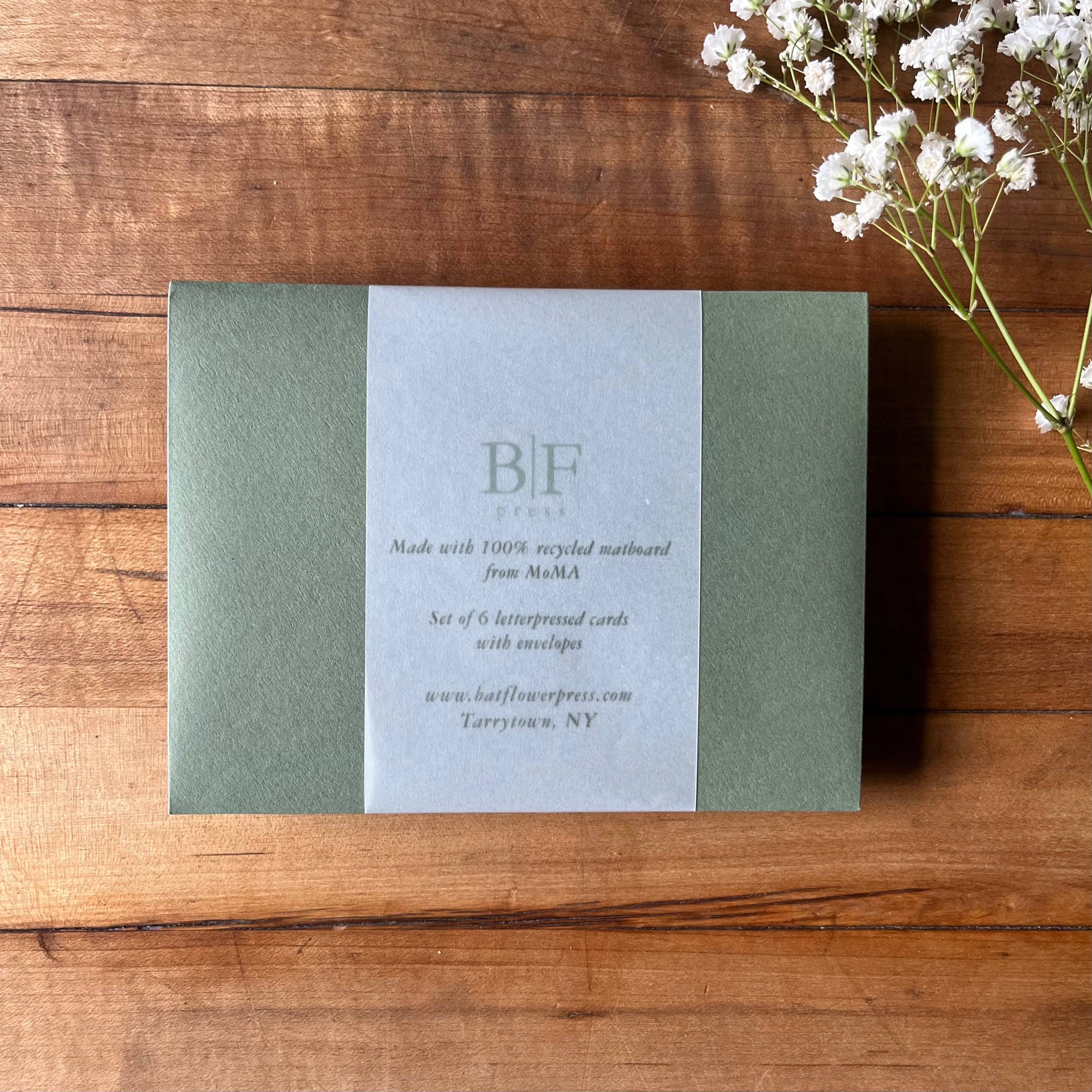 Vine Illustration - Letterpressed Set
