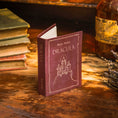 Load image into Gallery viewer, Dracula by Bram Stoker 1897 Book Wallet
