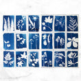 Load image into Gallery viewer, Cyanotype Kit – DIY kit to make blueprints & sun prints
