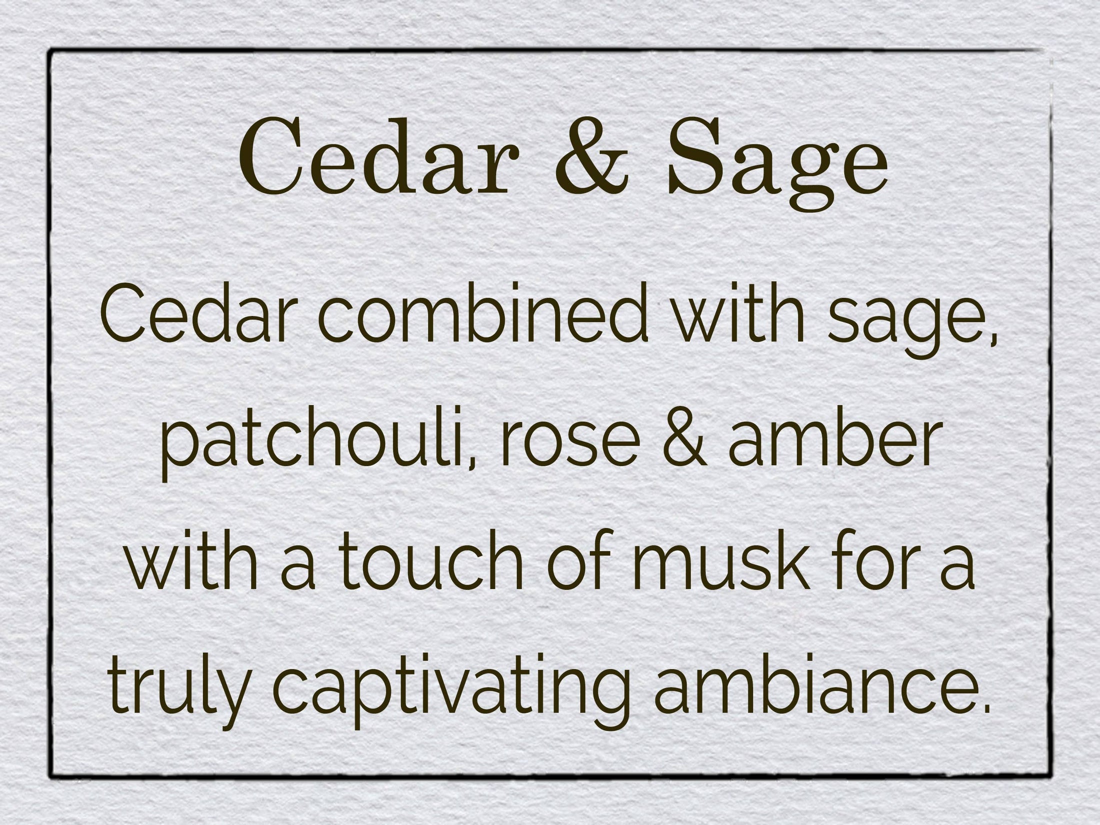 Love That Cat! Candle - Cedar & Sage